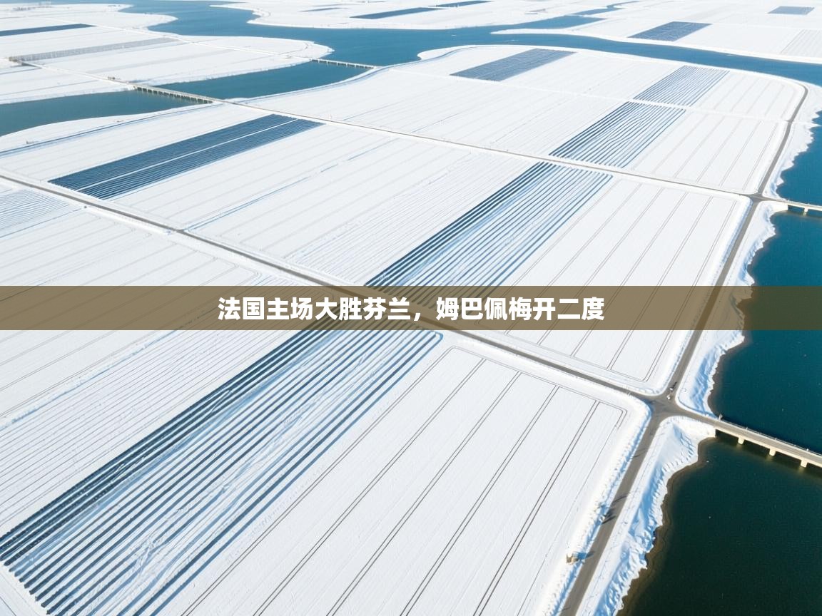 法国主场大胜芬兰，姆巴佩梅开二度  第2张