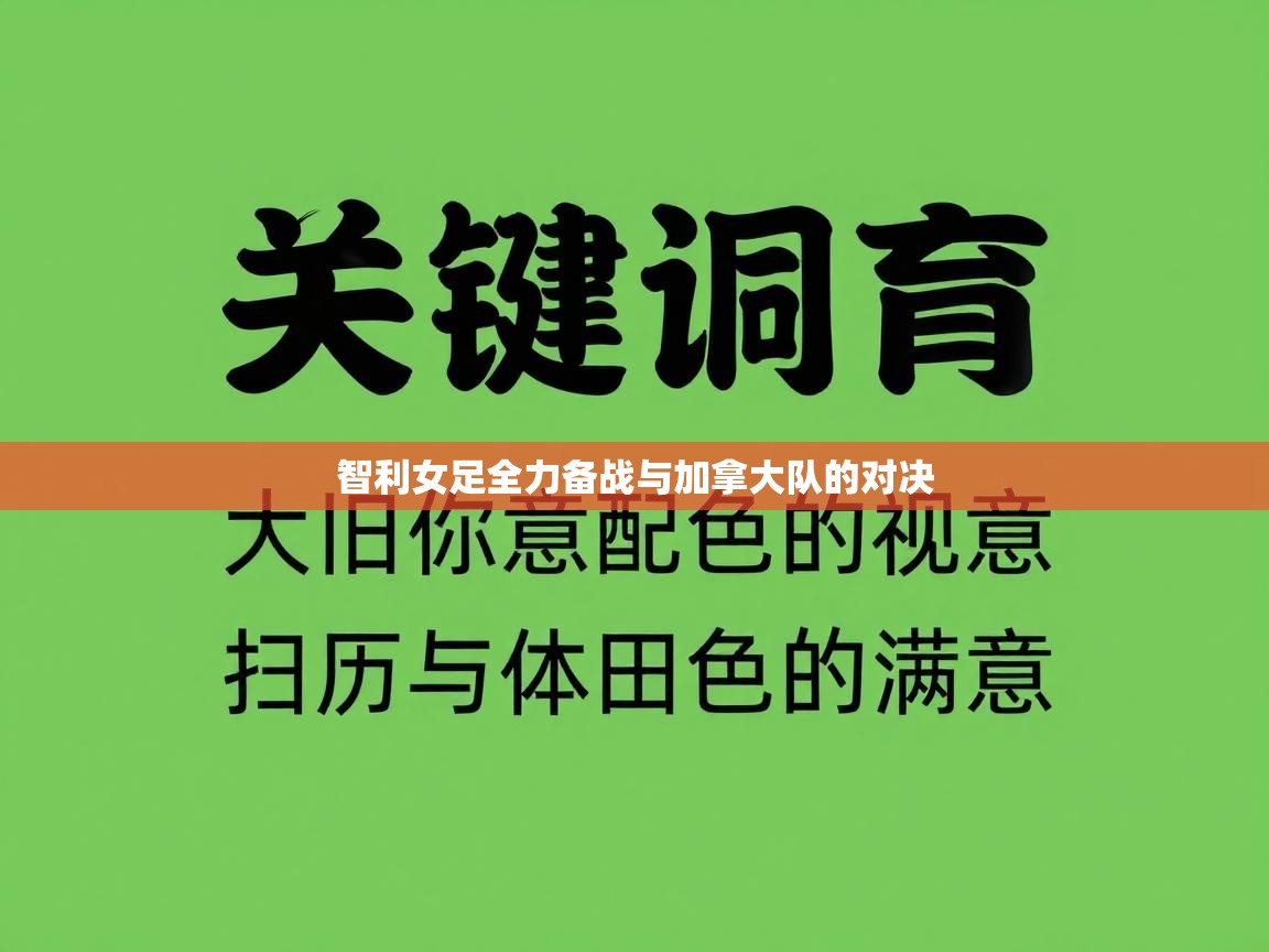 智利女足全力备战与加拿大队的对决  第2张