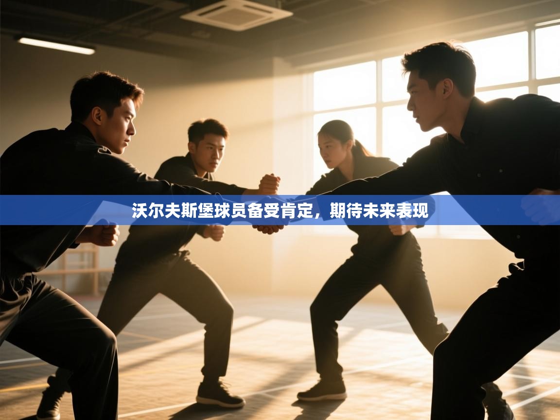 沃尔夫斯堡球员备受肯定，期待未来表现  第2张