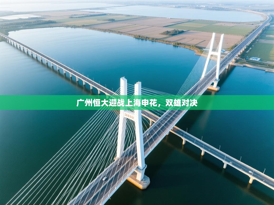 广州恒大迎战上海申花,双雄对决 第1张